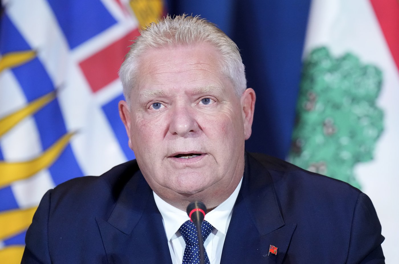 Ford veut proposer à Trump un plan sur l'énergie pour éviter les tarifs