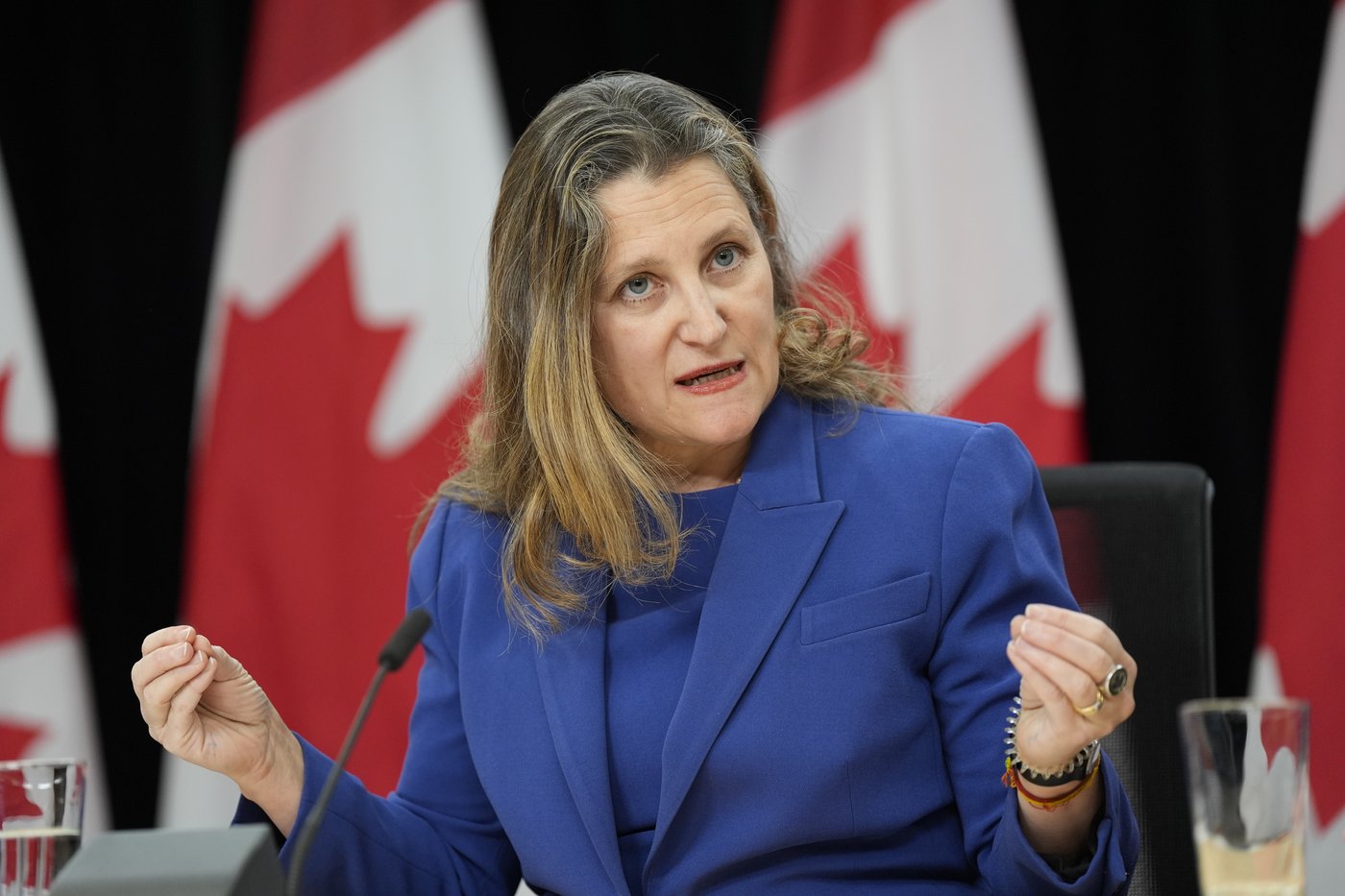 Freeland et Gould se préparent à lancer leur campagne à la direction du Parti libéral