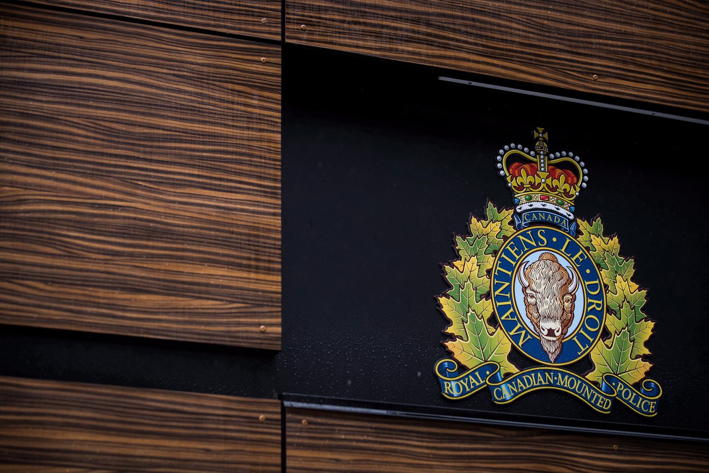 Un suspect est arrêté après la découverte de quatre corps en Saskatchewan