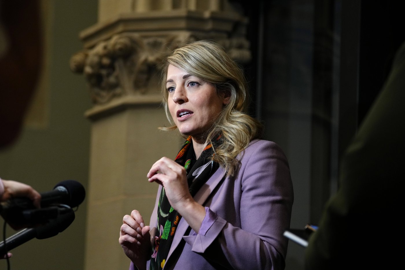 Mélanie Joly a donné un breffage sur les droits de douane à Mark Carney