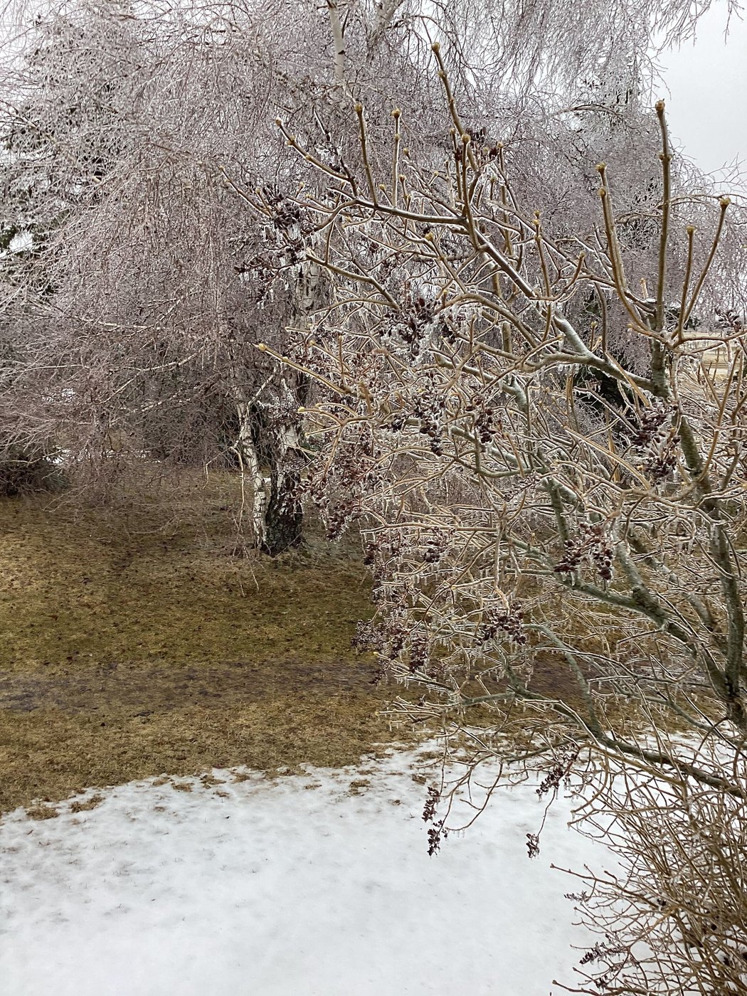 Les avertissements de pluie verglaçante s'étendent au Québec