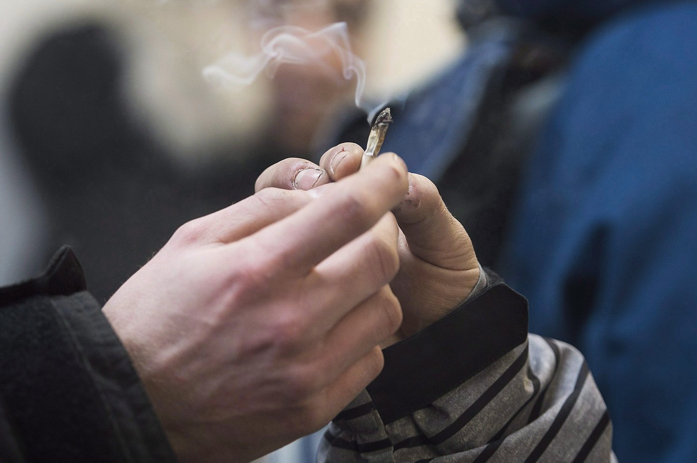 La proportion de consommateurs de cannabis diminue au Québec, surtout chez les jeunes