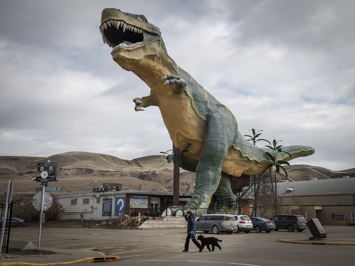 Le soutien pour la sauvegarde du dinosaure de Drumheller s'accroît