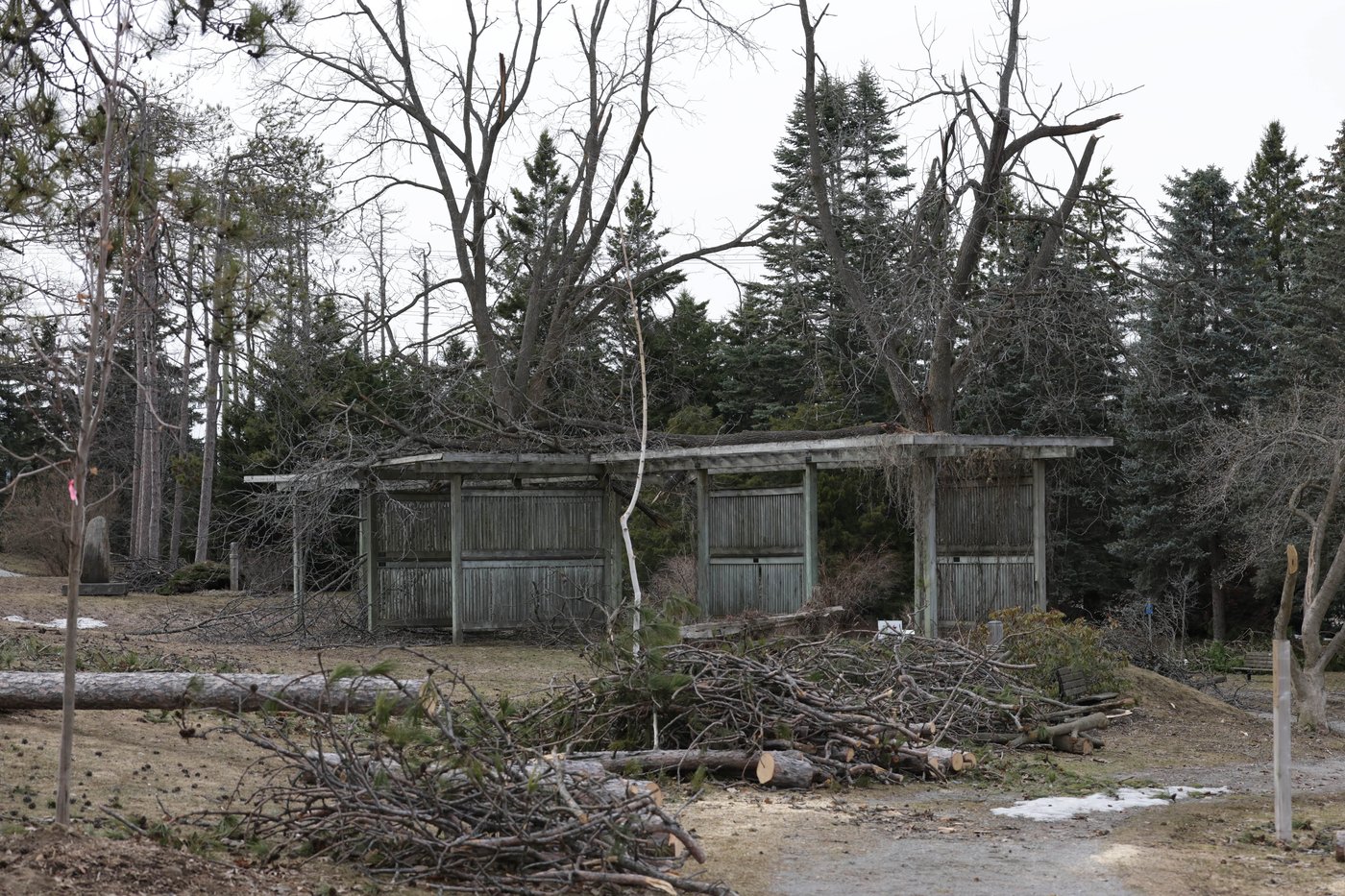 Ontario: environ 66 000 clients toujours sans électricité après la tempête de verglas