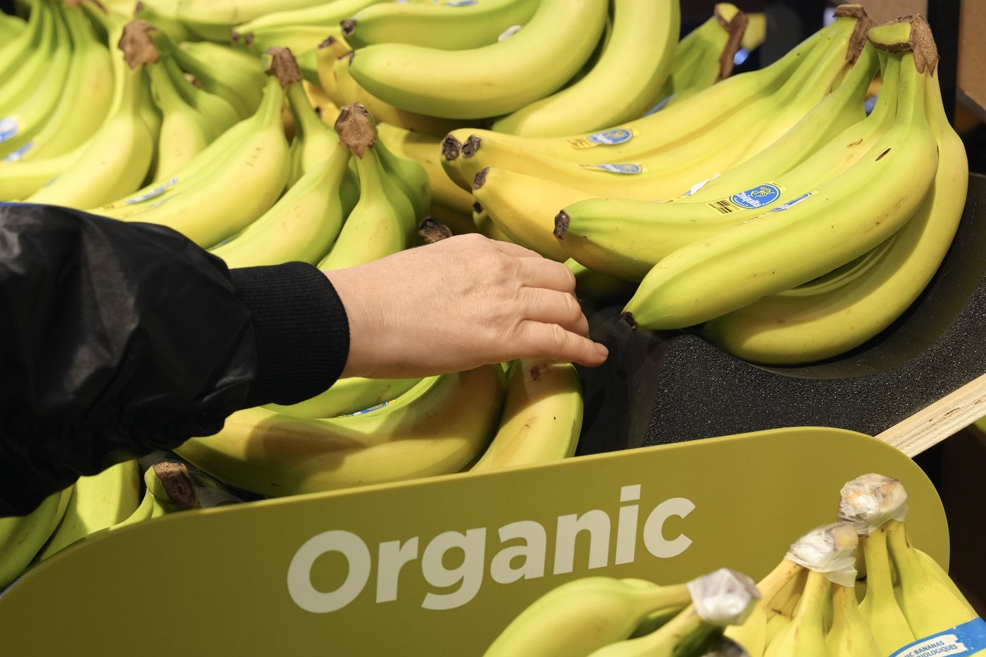 Hypertension: ajouter du potassium plutôt que réduire le sodium