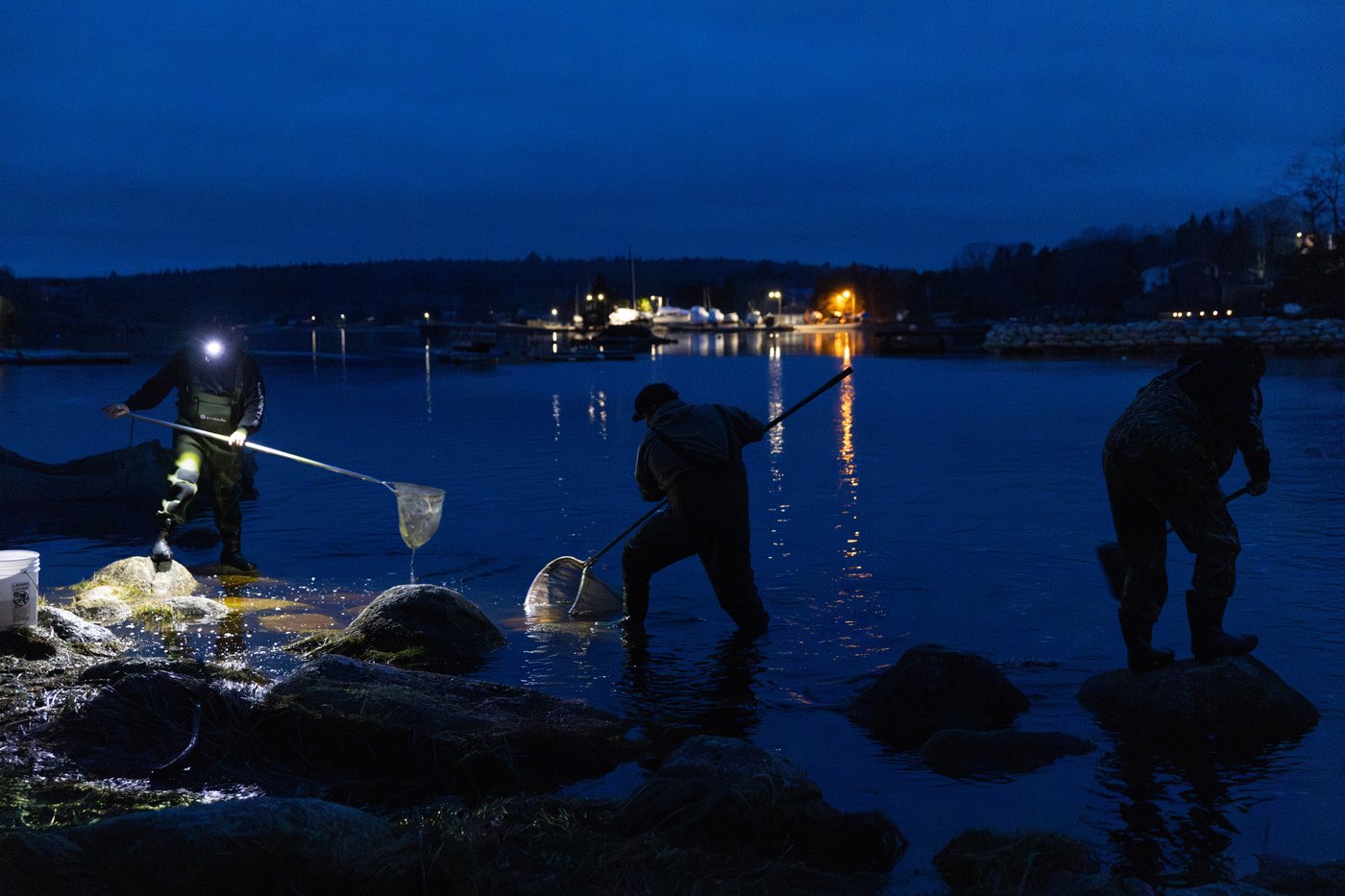 Sur les rivières de Nouvelle-Écosse, des pêcheurs de civelles micmacs défient Ottawa