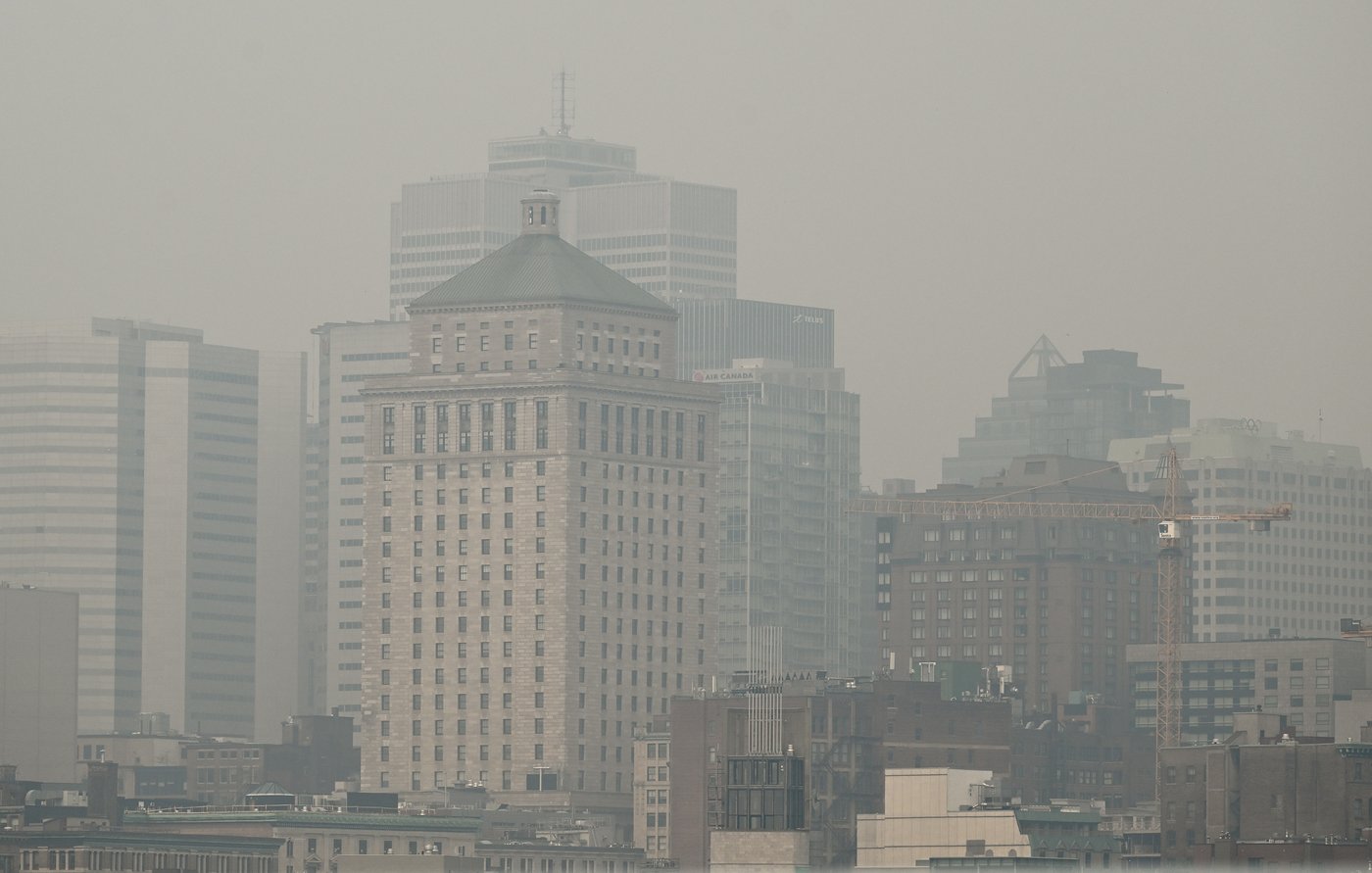 Les changements climatiques aggravent les allergies