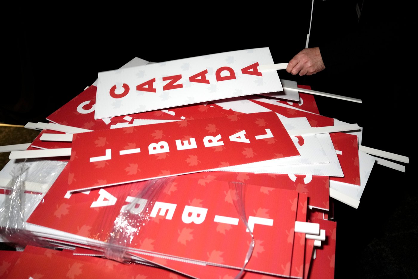Le Parti libéral remporte une circonscription rurale de Terre-Neuve par 12 voix