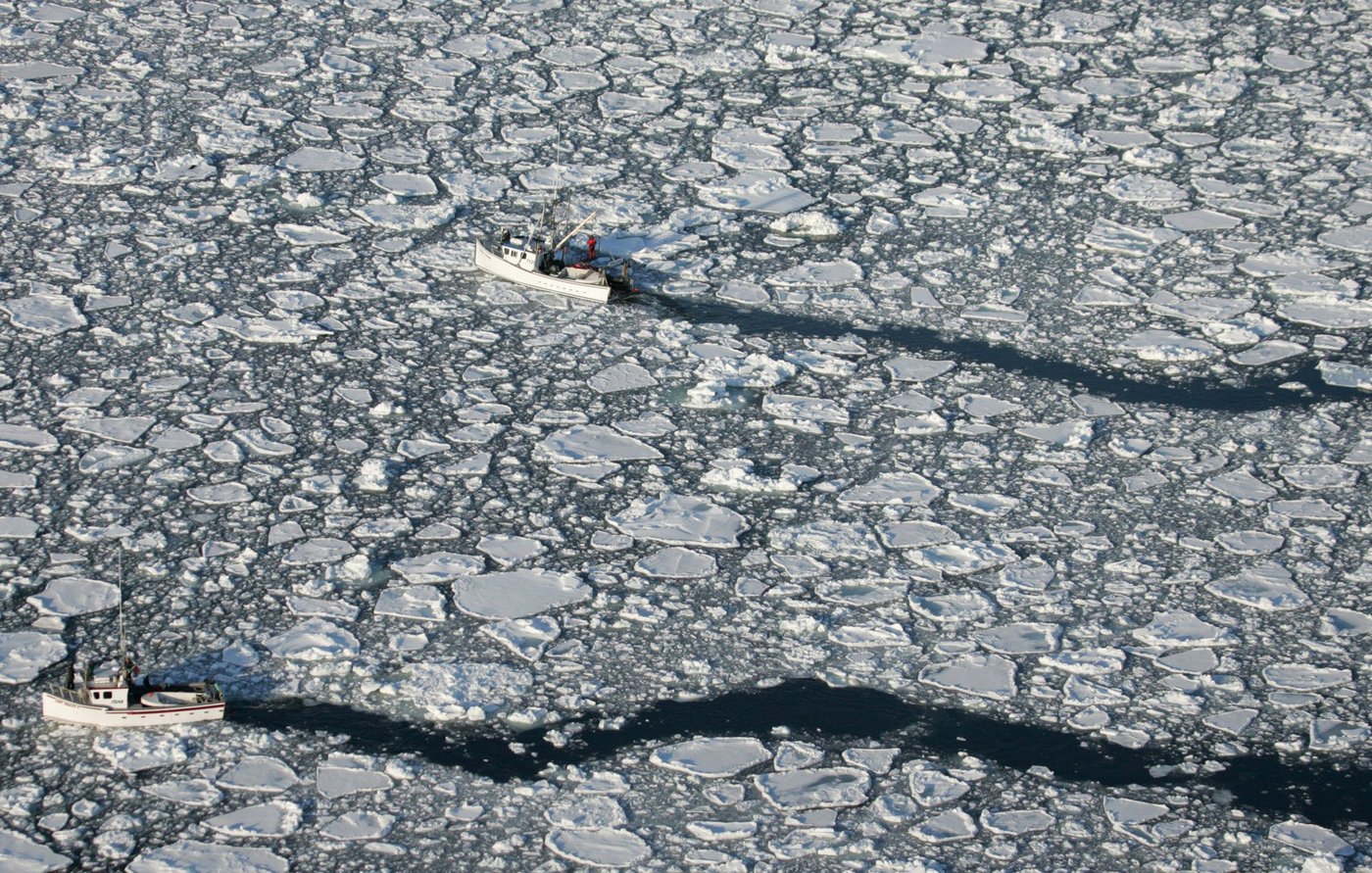 Températures records et diminution de la glace dans le golfe du Saint-Laurent
