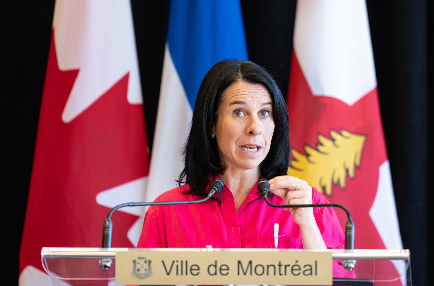 La mairesse de Montréal annonce zéro artificialisation des sols nette d'ici 2030