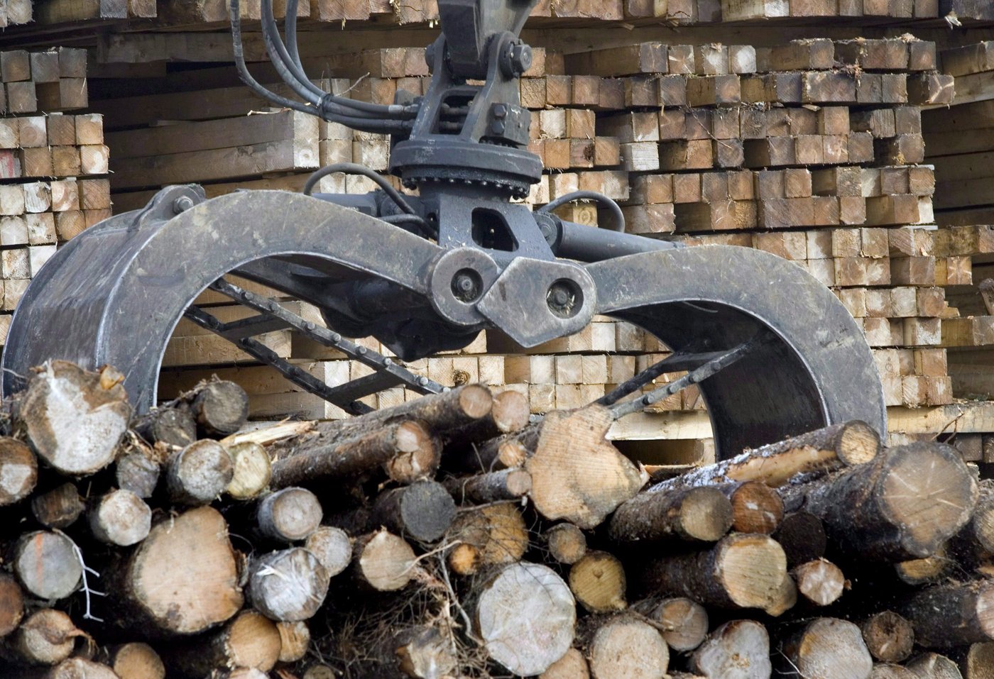 Des groupes autochtones envoient un avis d’expulsion à plusieurs scieries