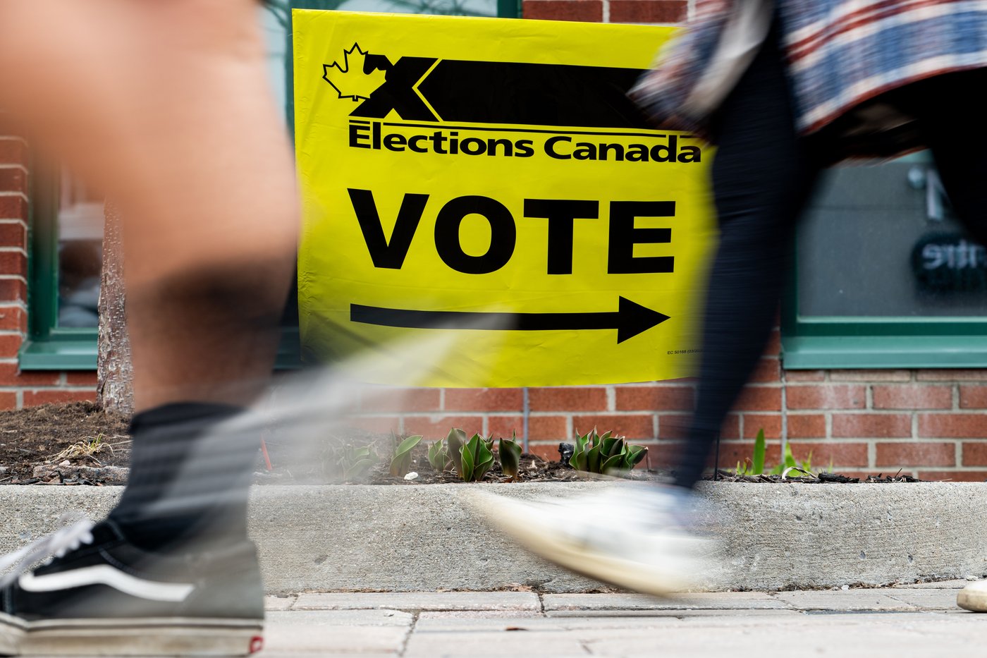 Un candidat libéral de l'Ontario affirme qu'un dépouillement judiciaire a été ordonné
