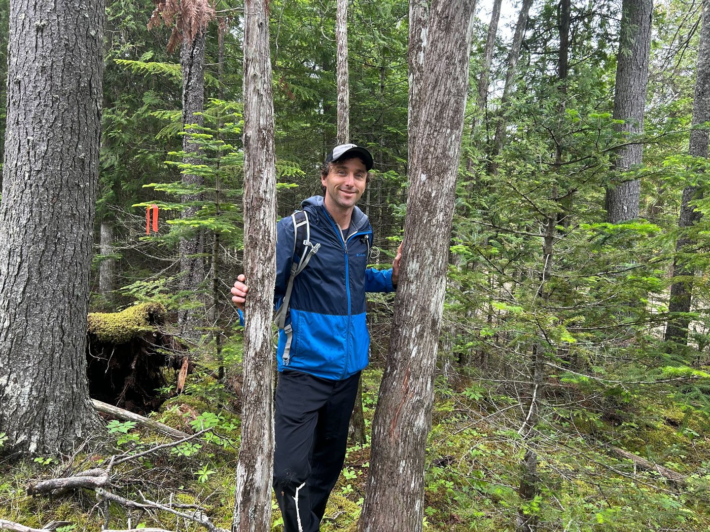Une forêt centenaire du N.-B. risque d'être détruite pour agrandir un parc industriel