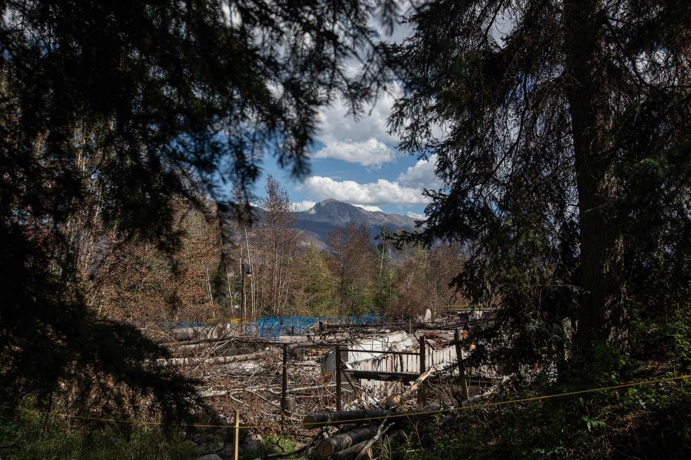 Les dirigeants du G7 adoptent une charte sur les feux de forêt