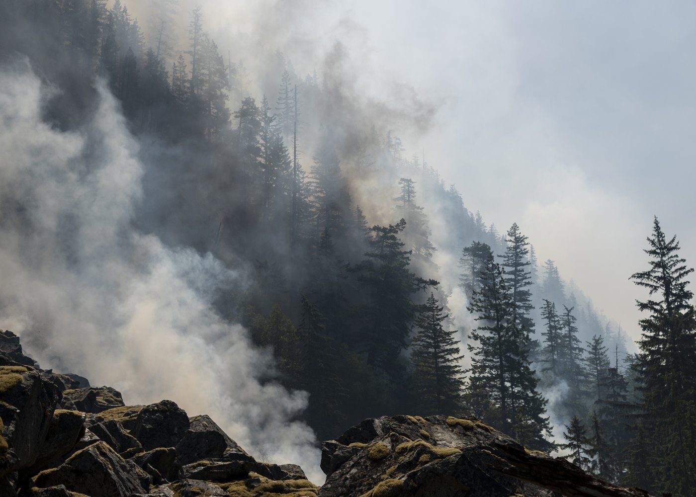 Les pompiers s'attendent à ce que l'incendie de Squamish soit bientôt maîtrisé