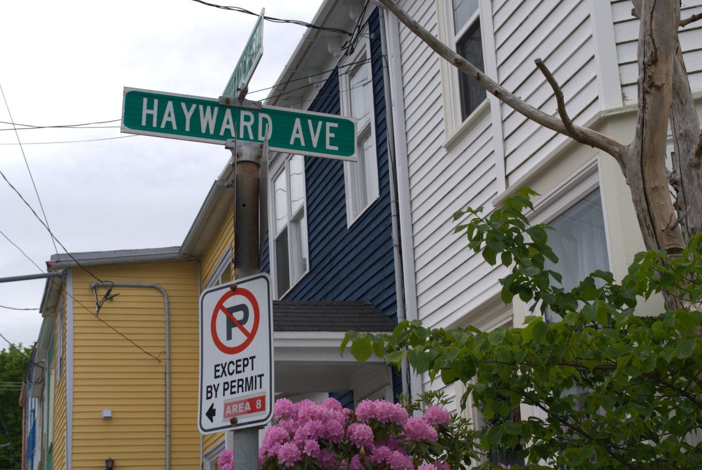 Les nouvelles rues de Saint-Jean à T.-N.-L. ne porteront plus le nom de personnes