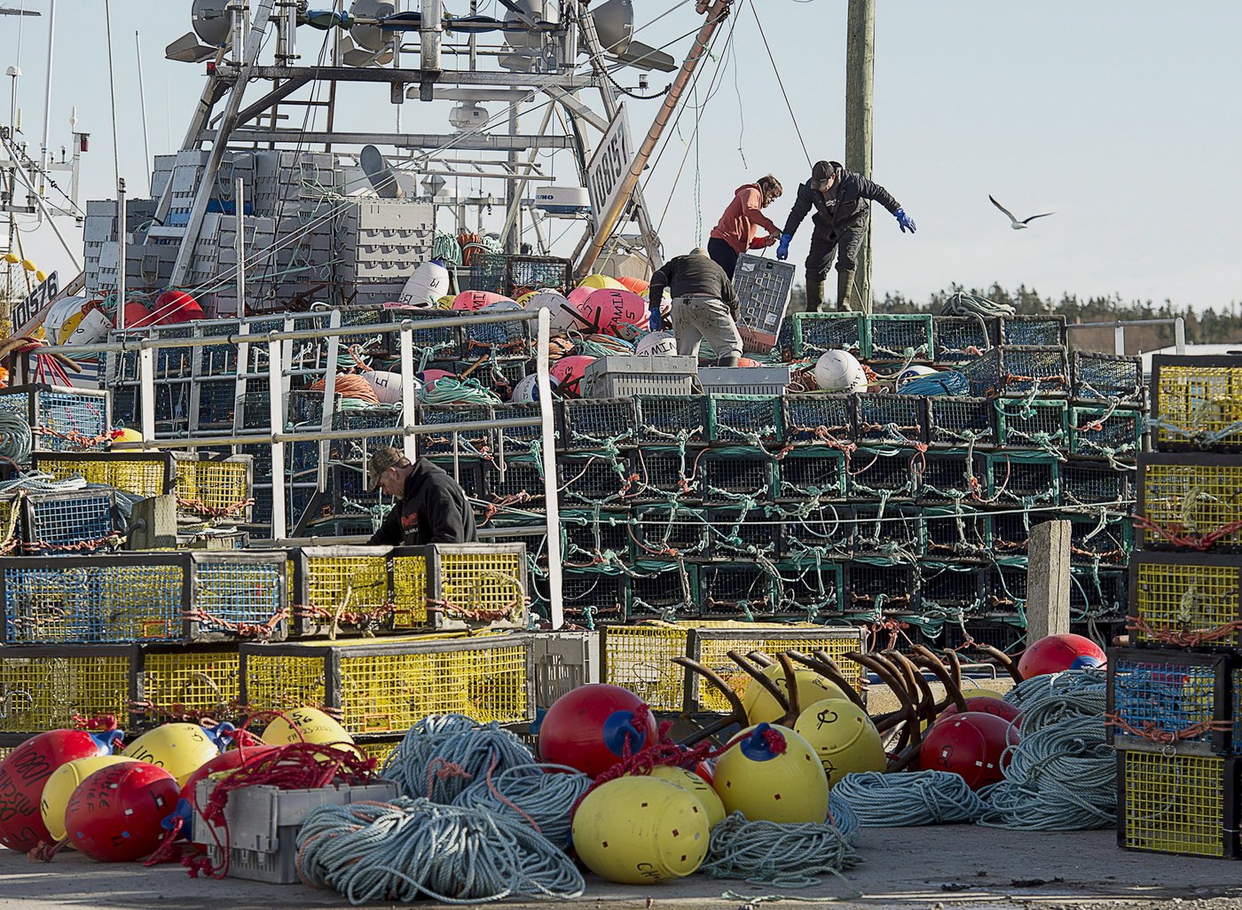 La Nouvelle-Écosse investit pour réduire les émissions de la pêche aux fruits de mer