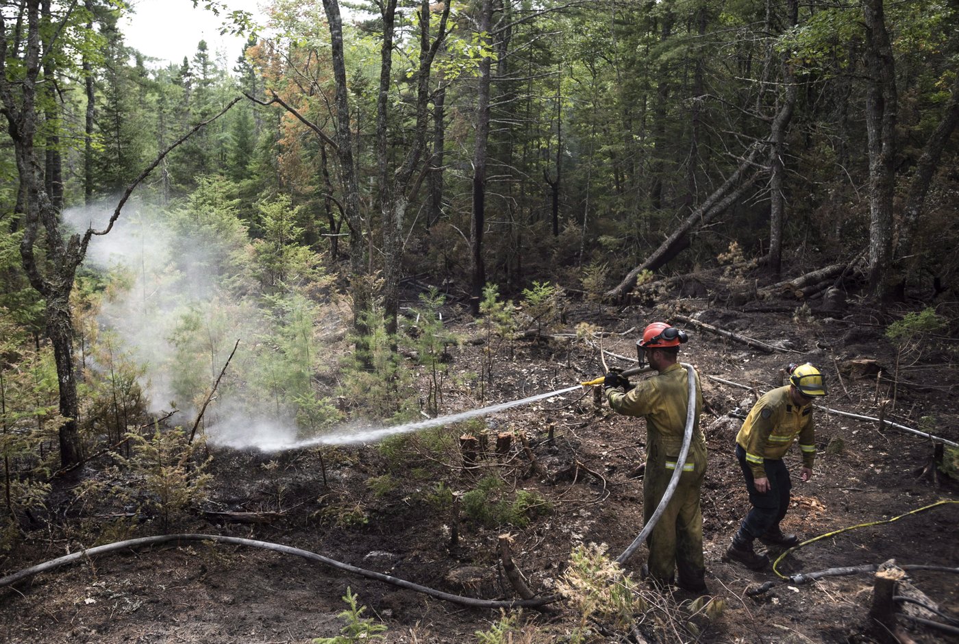 Un feu de forêt dans le port de Musquodoboit entraîne l'évacuation d'une communauté