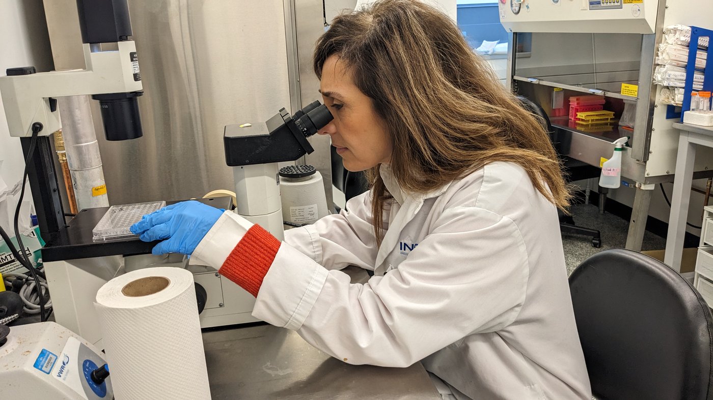 Une chercheuse reçoit 1,2 M$ pour faire avancer la recherche sur le glioblastome