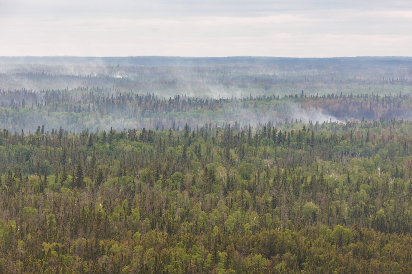 Le Manitoba est en état d'urgence alors que les feux de forêt font rage