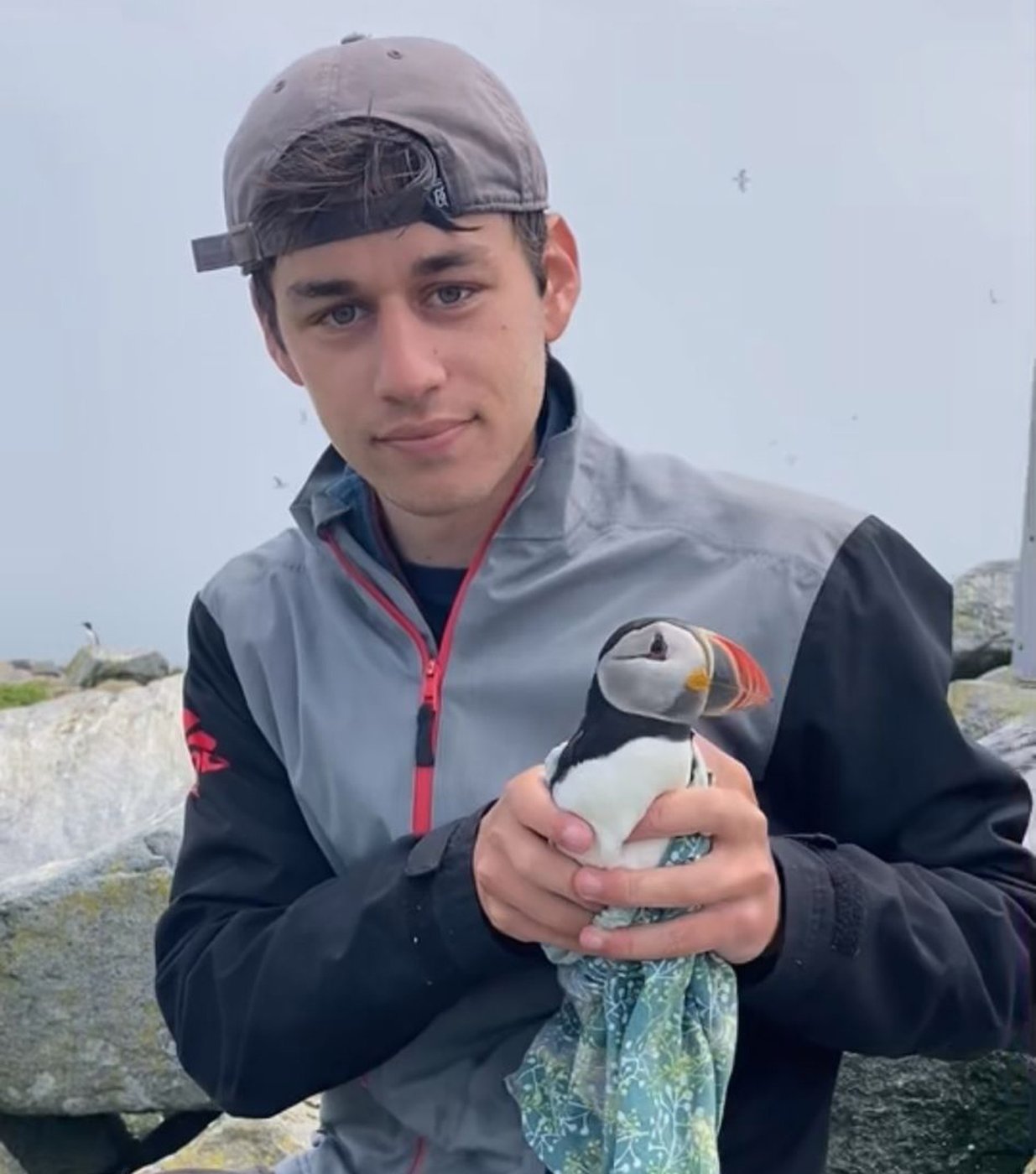 Des chercheurs découvrent un très vieux macareux sur une île de la baie de Fundy