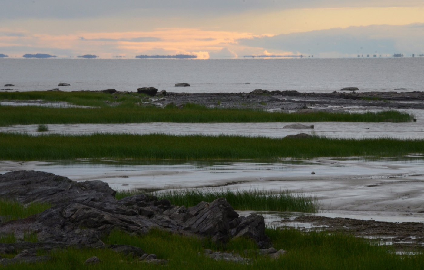 Environ une demi-tonne de déchets plastiques retirés de l'estuaire du Saint-Laurent