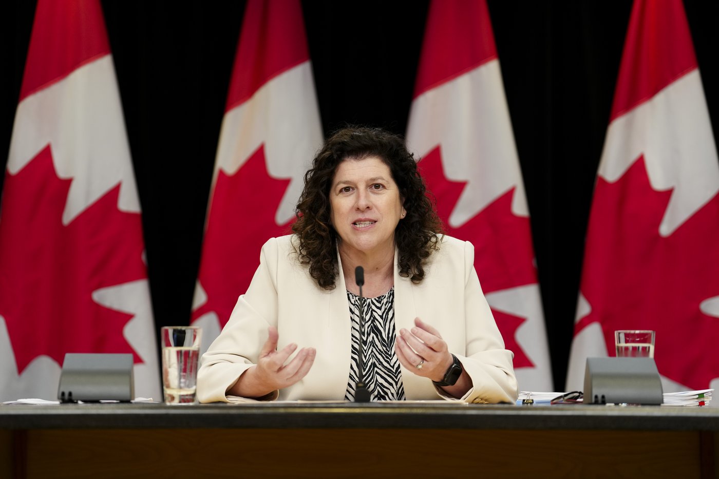 La vérificatrice générale examinera les pratiques d'embauche du fédéral