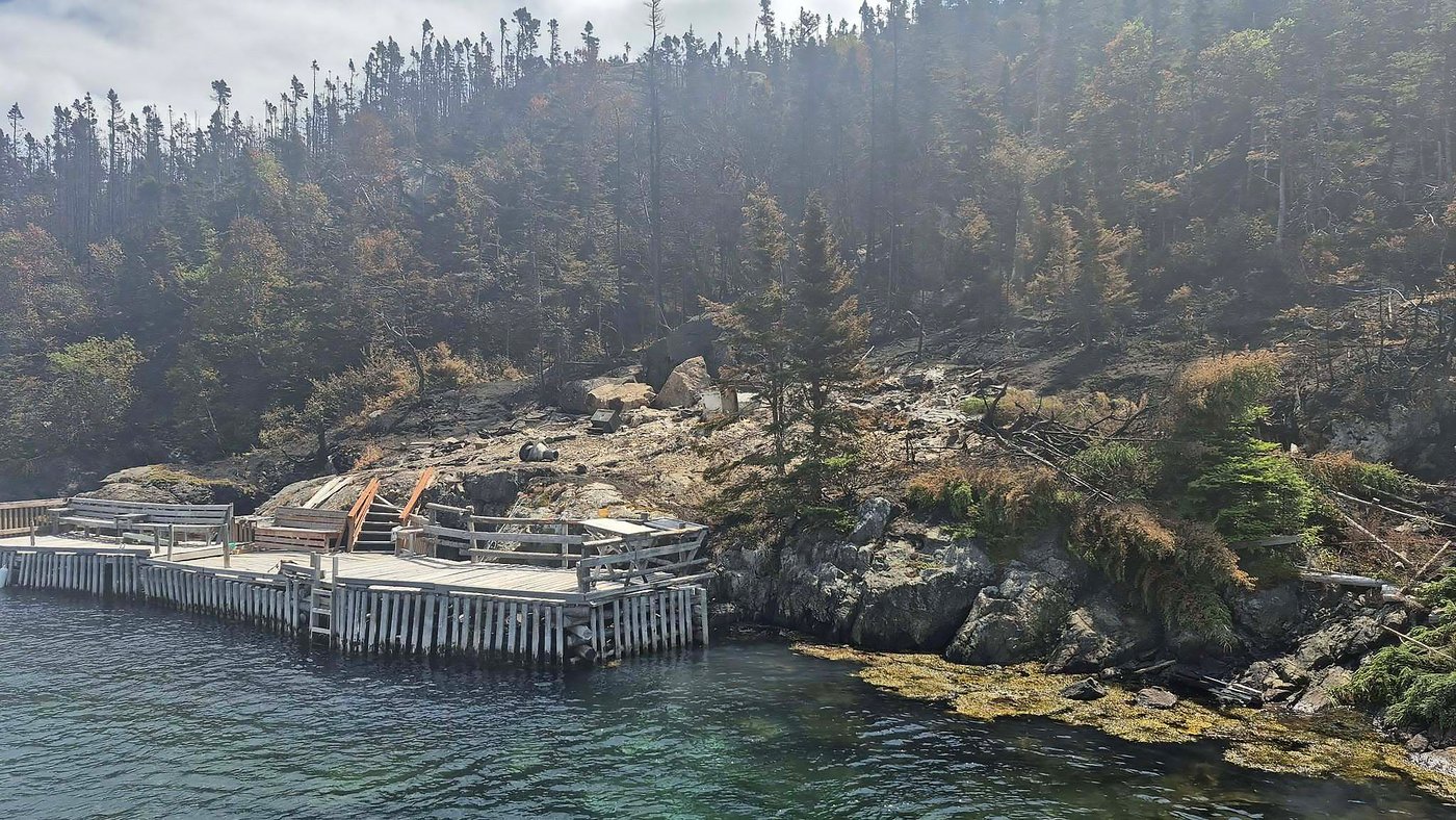 Une ville de Terre-Neuve-et-Labrador doit être évacuée en raison d’un feu de forêt