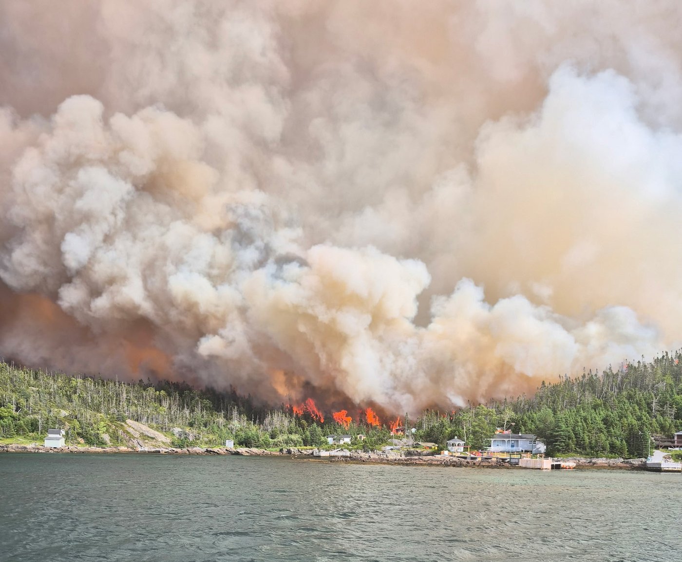 Environ 5,5 millions d'hectares brûlés par les feux de forêt jusqu'à présent