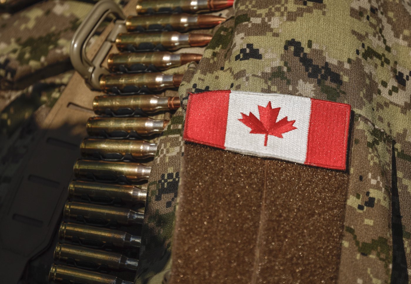 Cinq militaires du Royal 22e Régiment suspendus pour un salut nazi en vidéo
