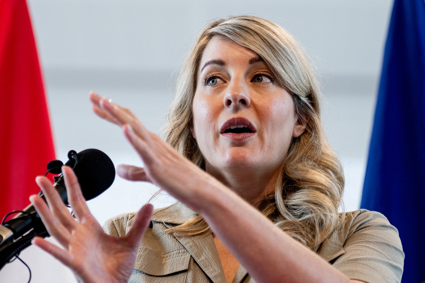 Mélanie Joly rencontre le fabricant d'un concurrent du F-35, qui subit un examen