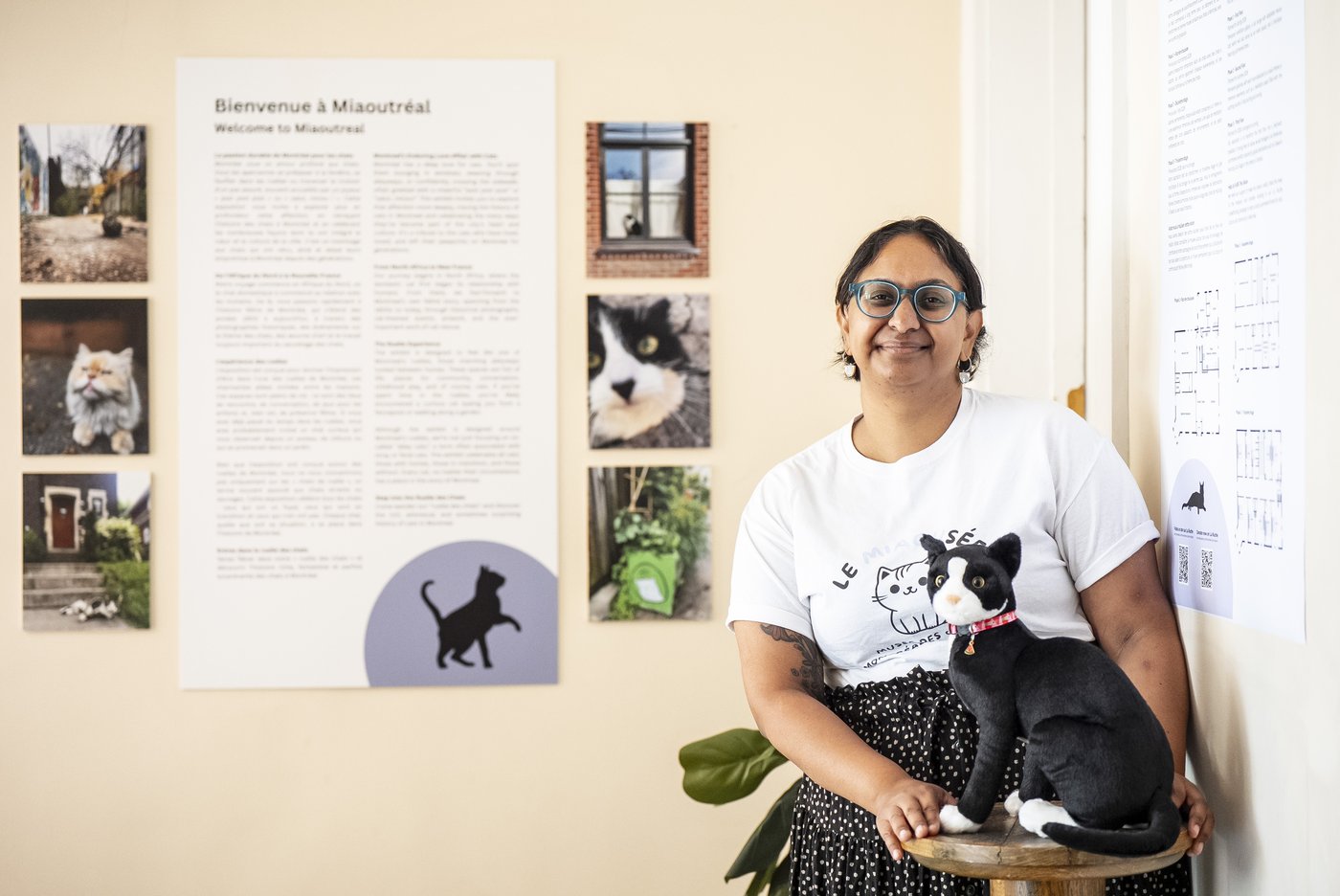 Le Miaousée veut devenir le premier musée consacré aux chats au Canada