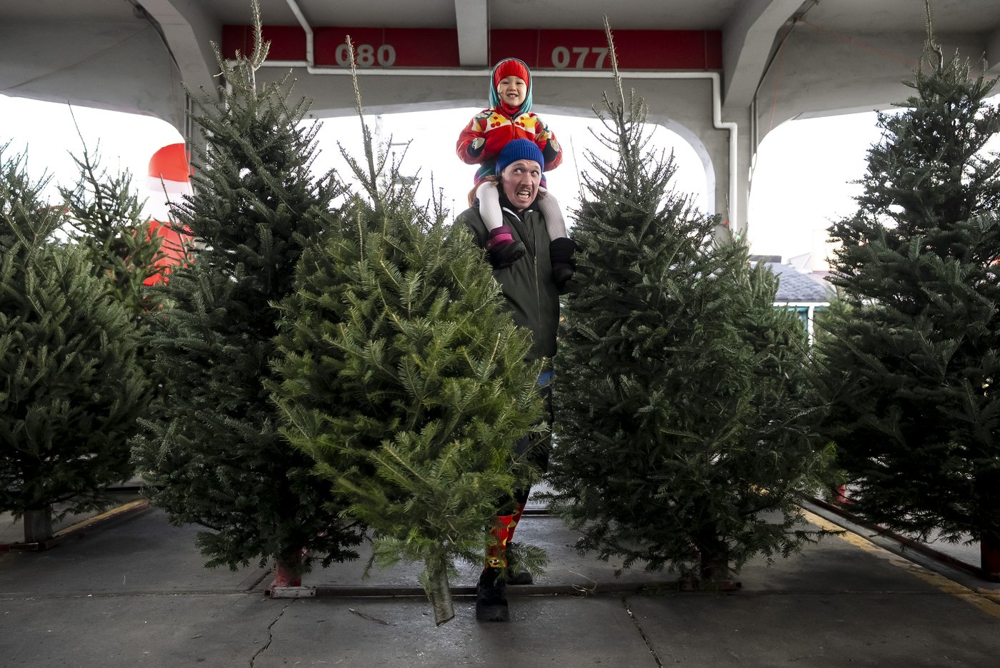 Les vendeurs de sapins de Noël enregistrent une forte demande cette année