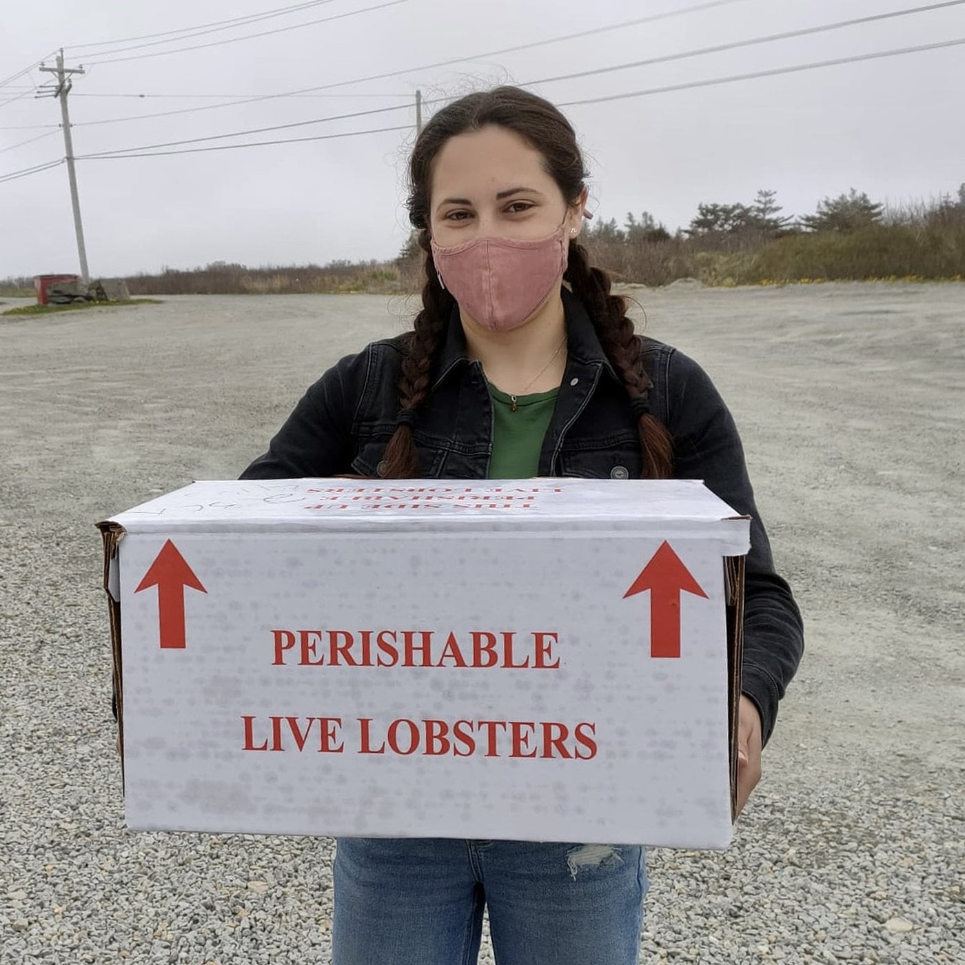 Des microplastiques détectés dans les homards de la Nouvelle-Écosse