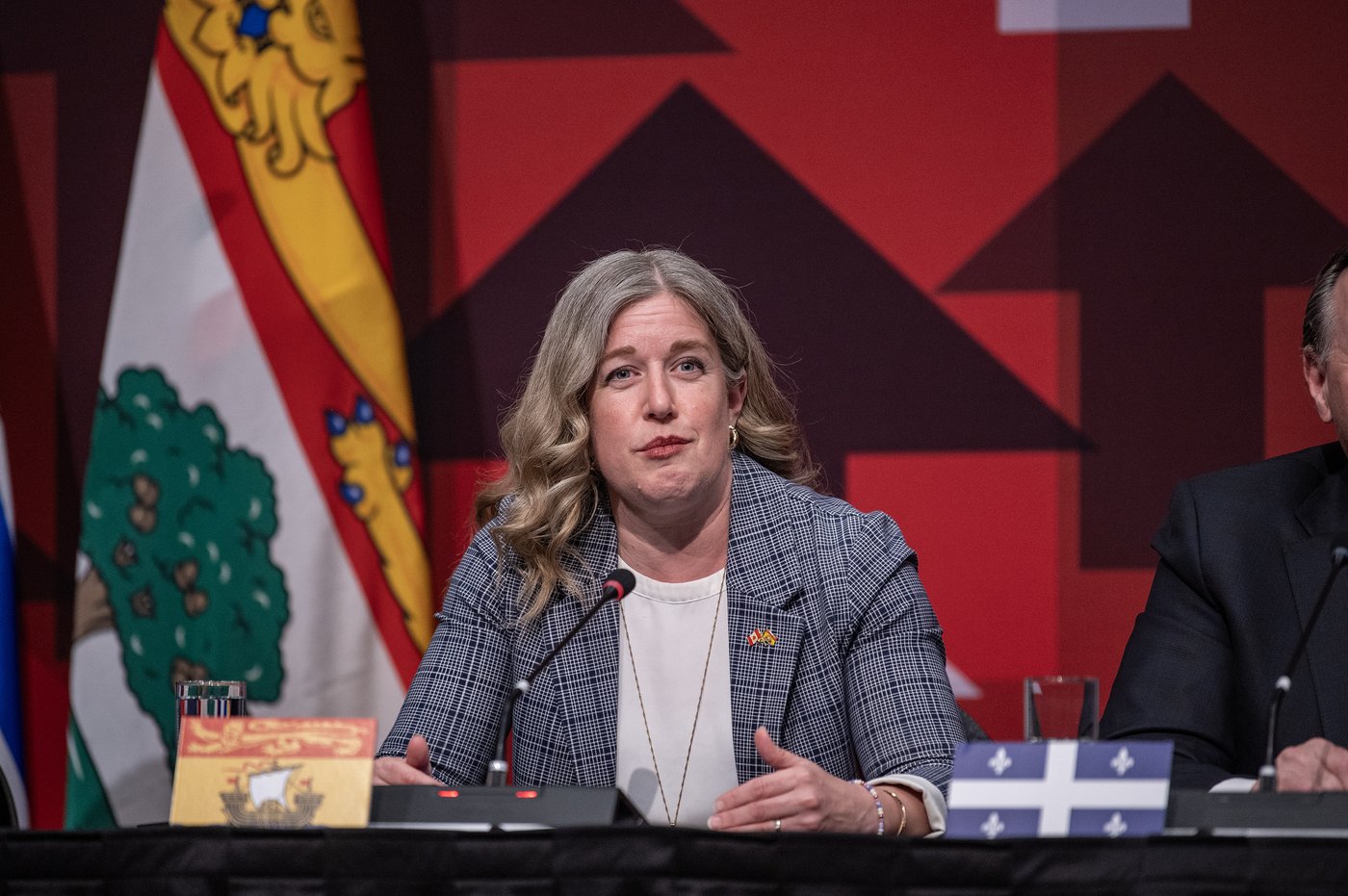 Le manque de lits dans les hôpitaux du N.-B. n'est pas une surprise, dit Holt