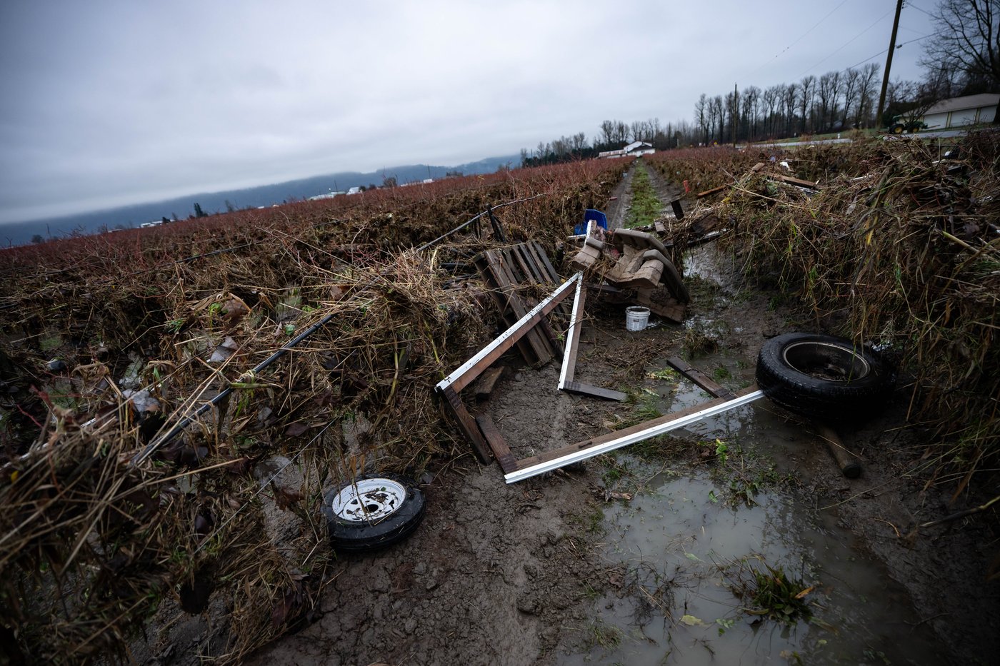 Les eaux de crue se retirent à Abbotsford, mais de nouvelles pluies sont attendues