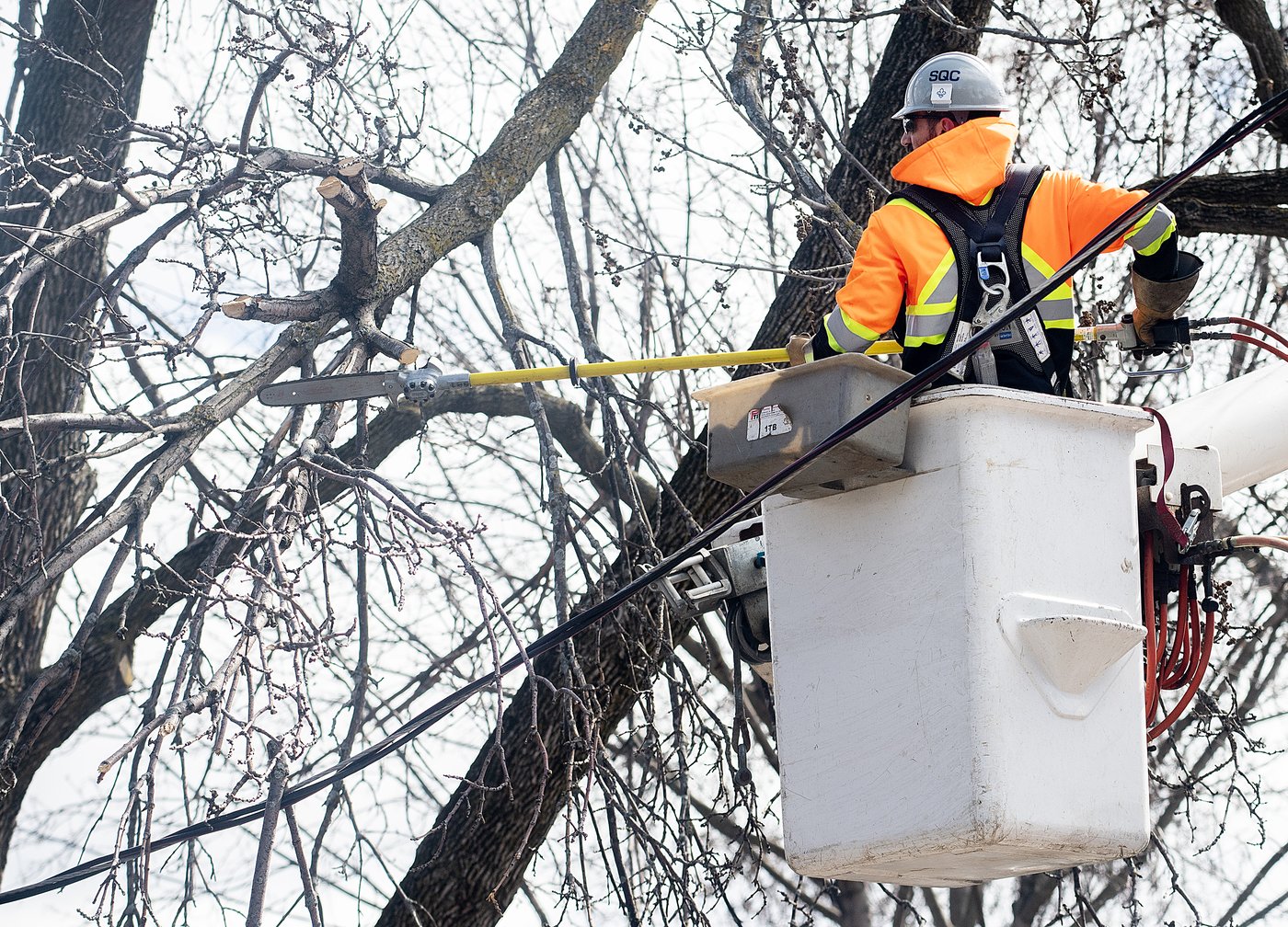 La pluie verglaçante prive des milliers d'abonnés d'Hydro-Québec d'électricité