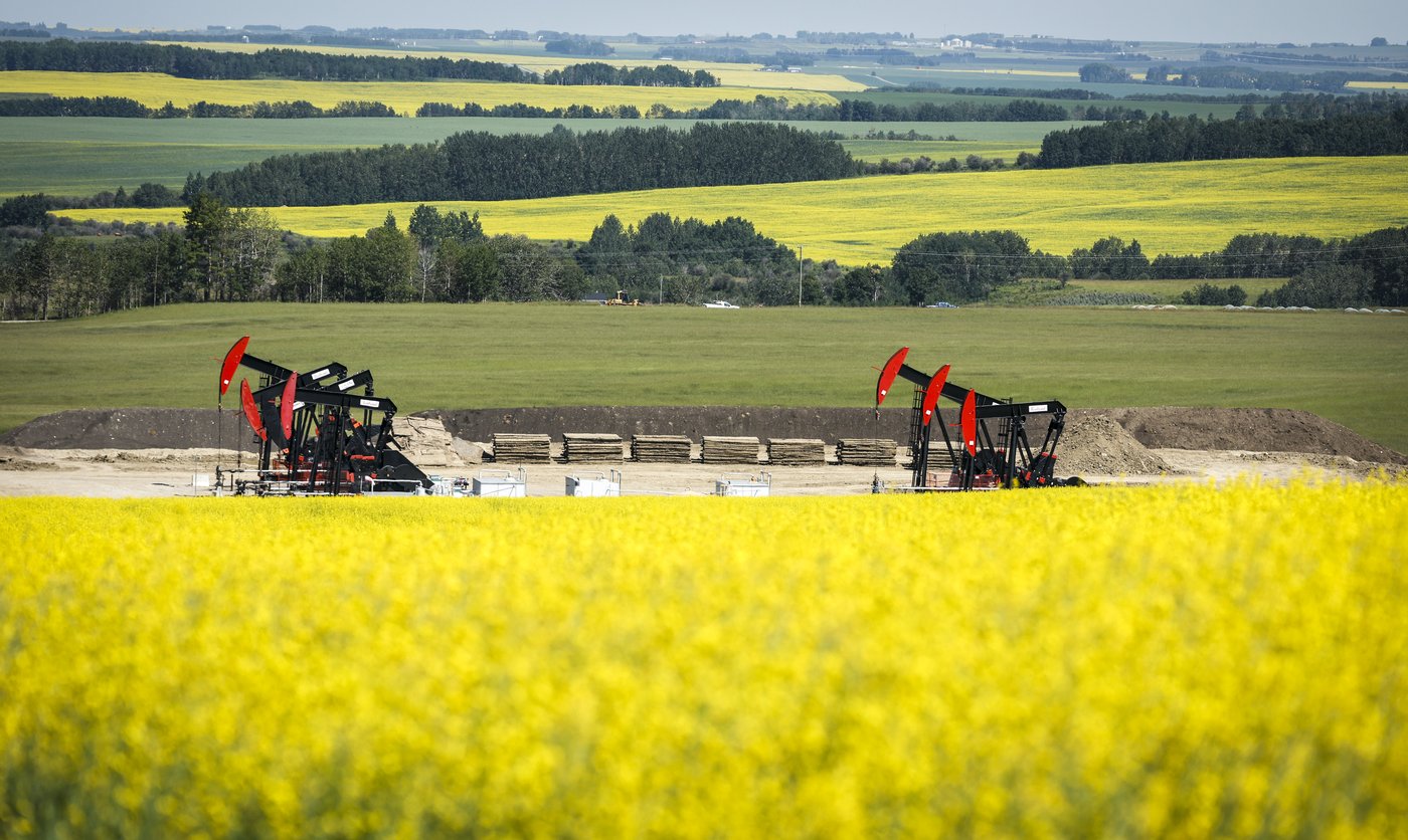 Les producteurs de canola au Canada seront affectés par les droits de douane chinois