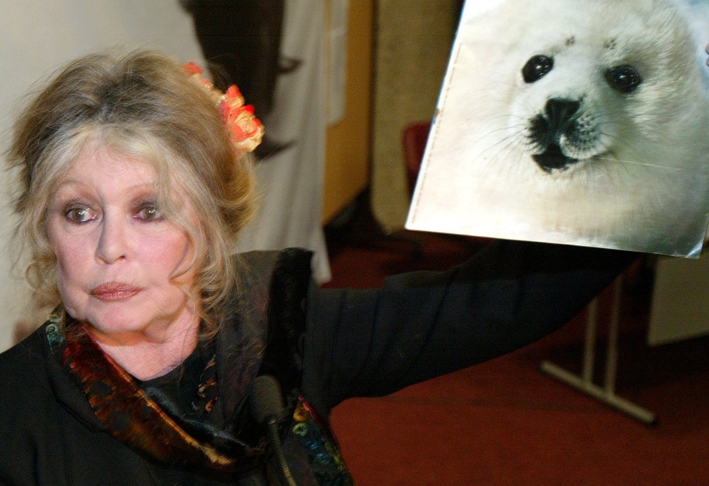 Bardot reste aussi dans les mémoires pour son combat contre la chasse au phoque