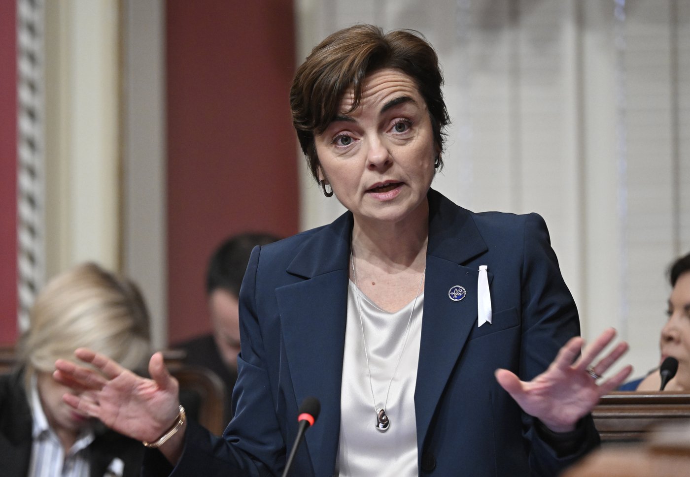 Course à la direction: Mathieu Lacombe donne son appui à Christine Fréchette