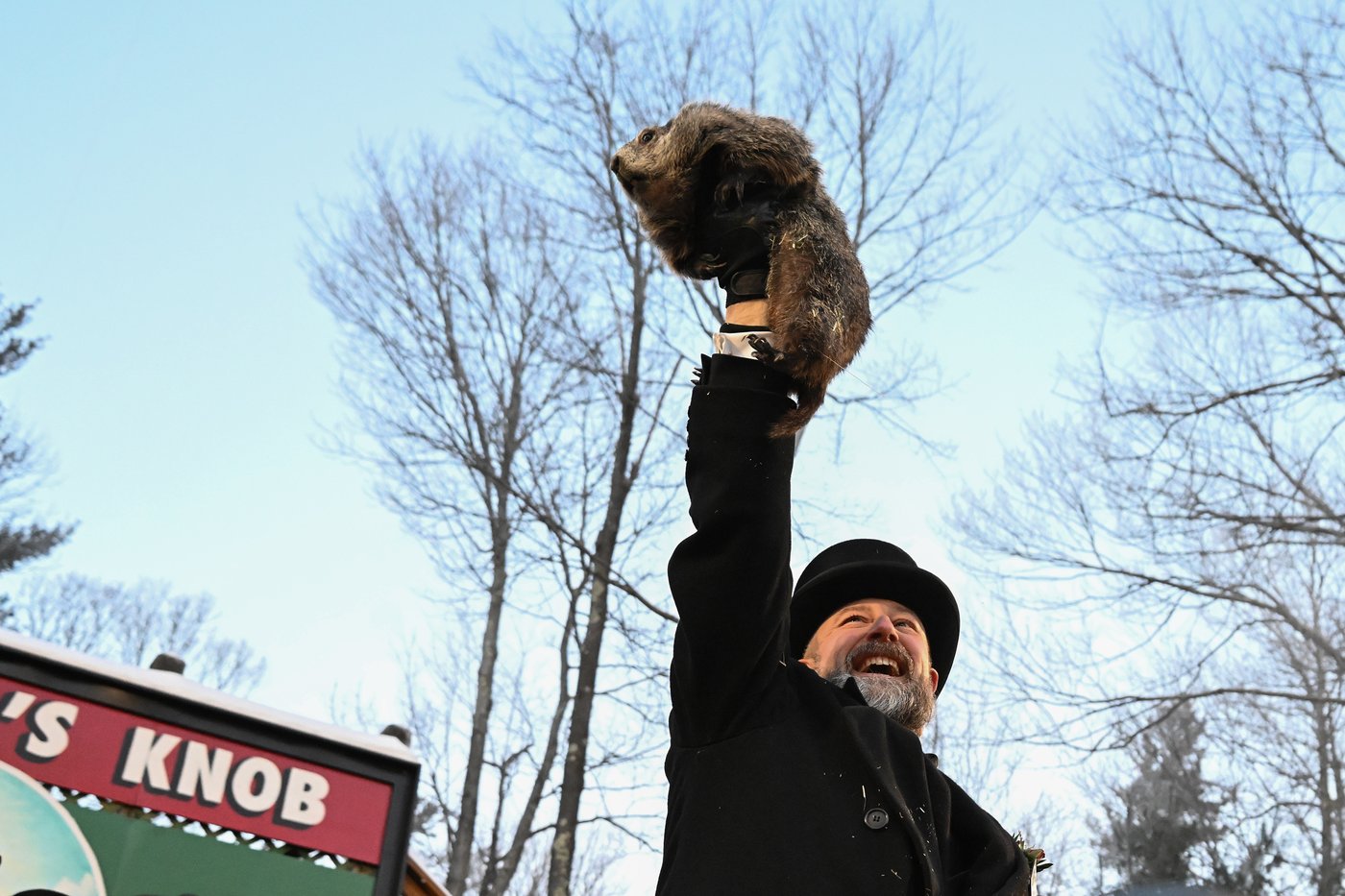Fred, la marmotte gaspésienne, prédit un printemps hâtif