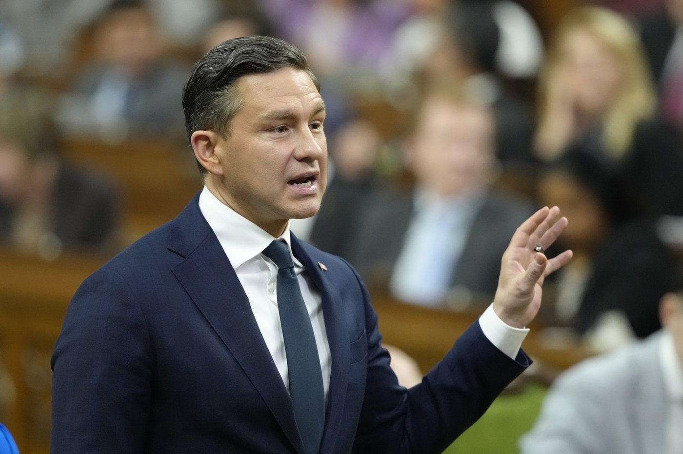Les conservateurs présentent une motion sur les crimes commis par des non-citoyens