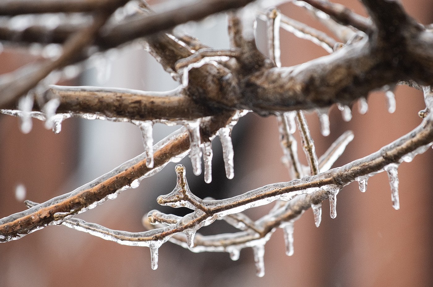 Un mélange de verglas et de pluie attendu au Québec dès samedi soir
