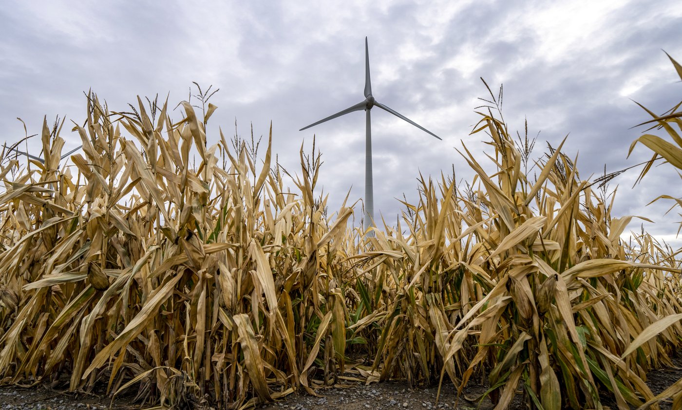 Décarbonation industrielle: un écart entre l'ambition et l'action