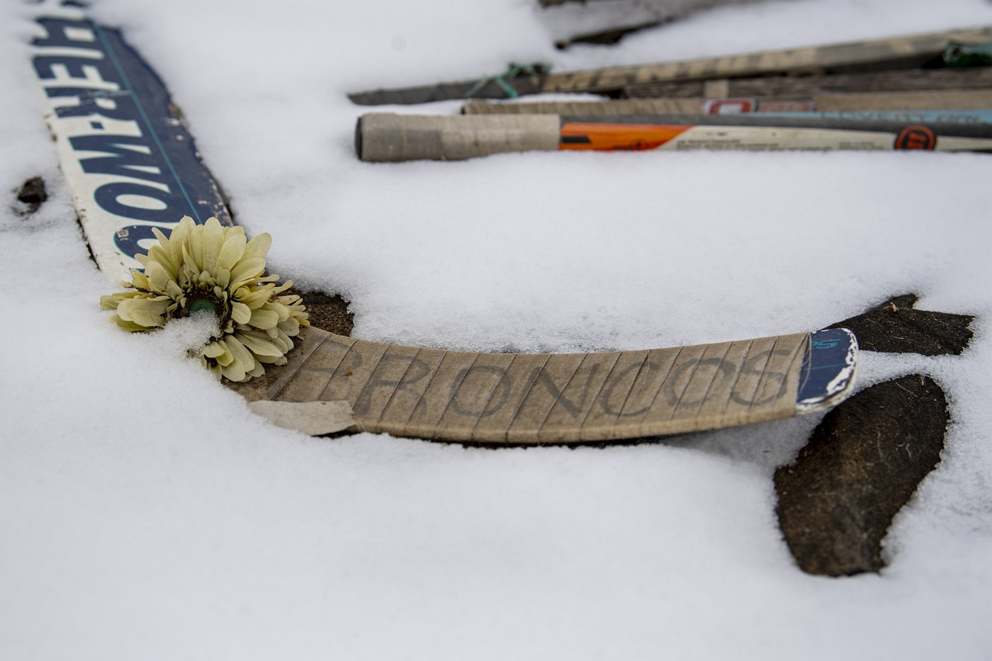 Les travaux se poursuivent pour le mémorial de l'accident des Broncos de Humboldt
