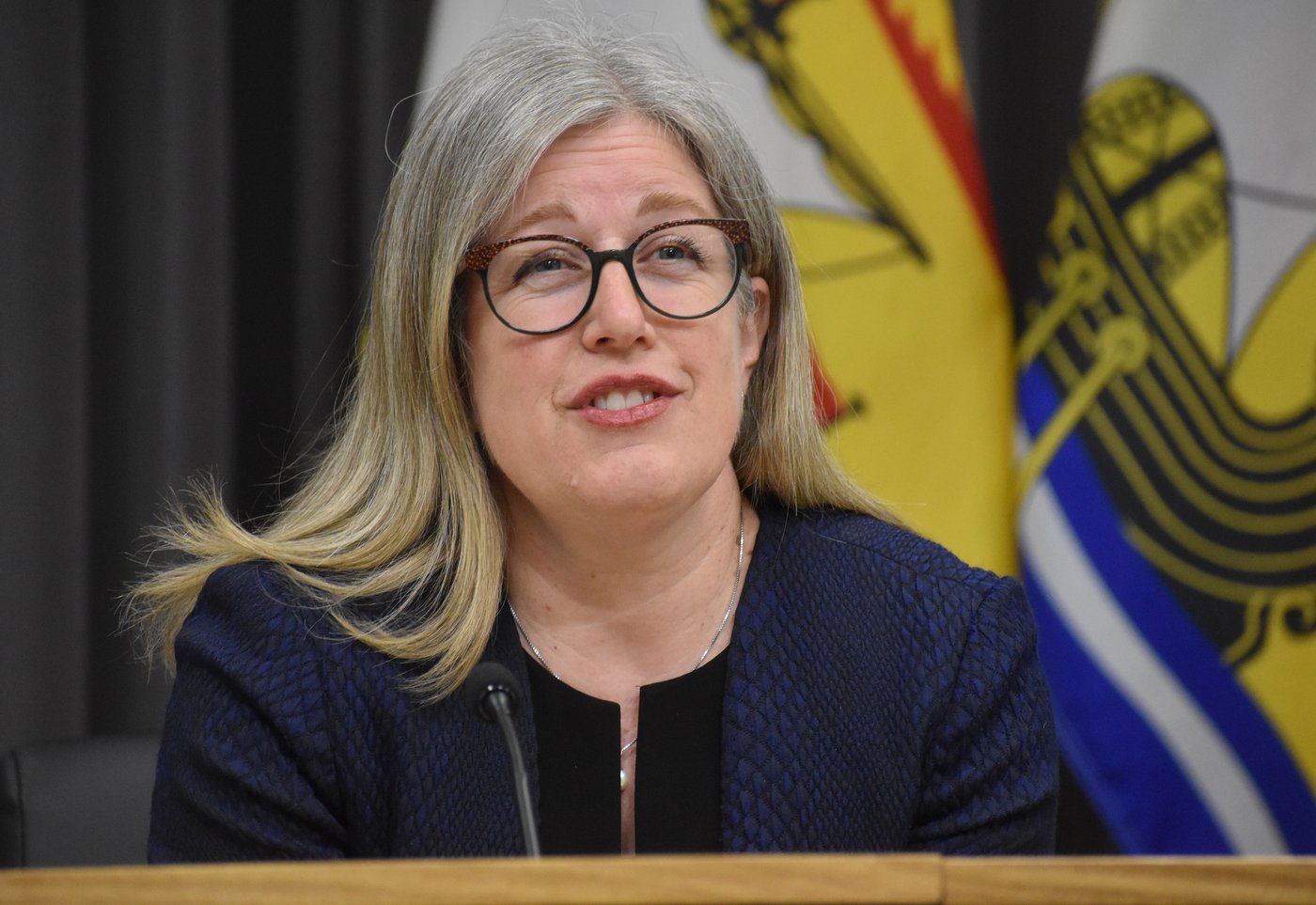 Le gouvernement du Nouveau-Brunswick souligne des avancées en Santé