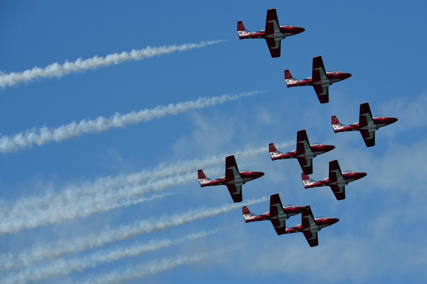L'escadron des Snowbirds ne s'envolera plus jusqu'au remplacement de ses avions