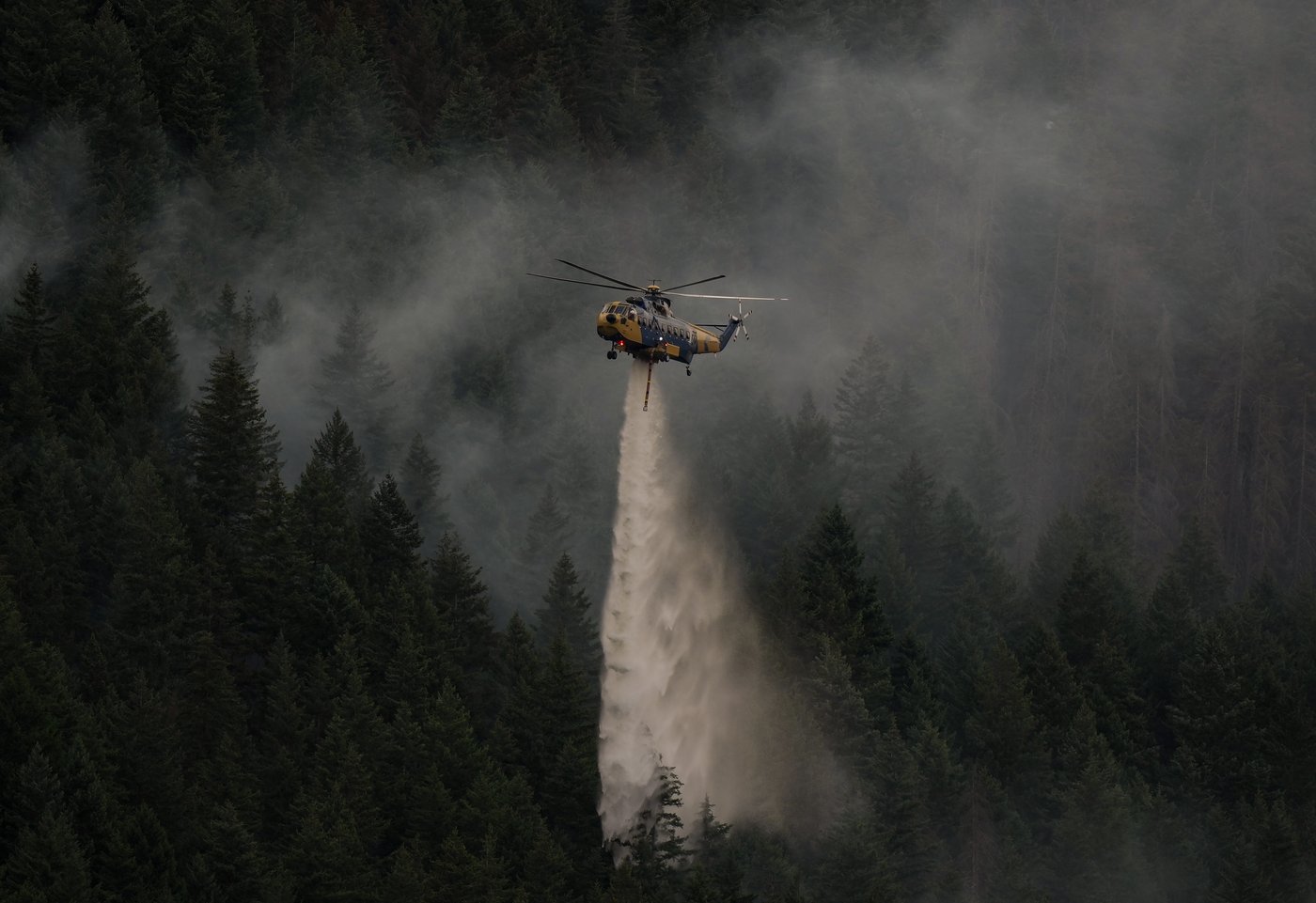 Les habitants de Boston Bar, en C.-B., s'inquiètent d'un feu de forêt à proximité