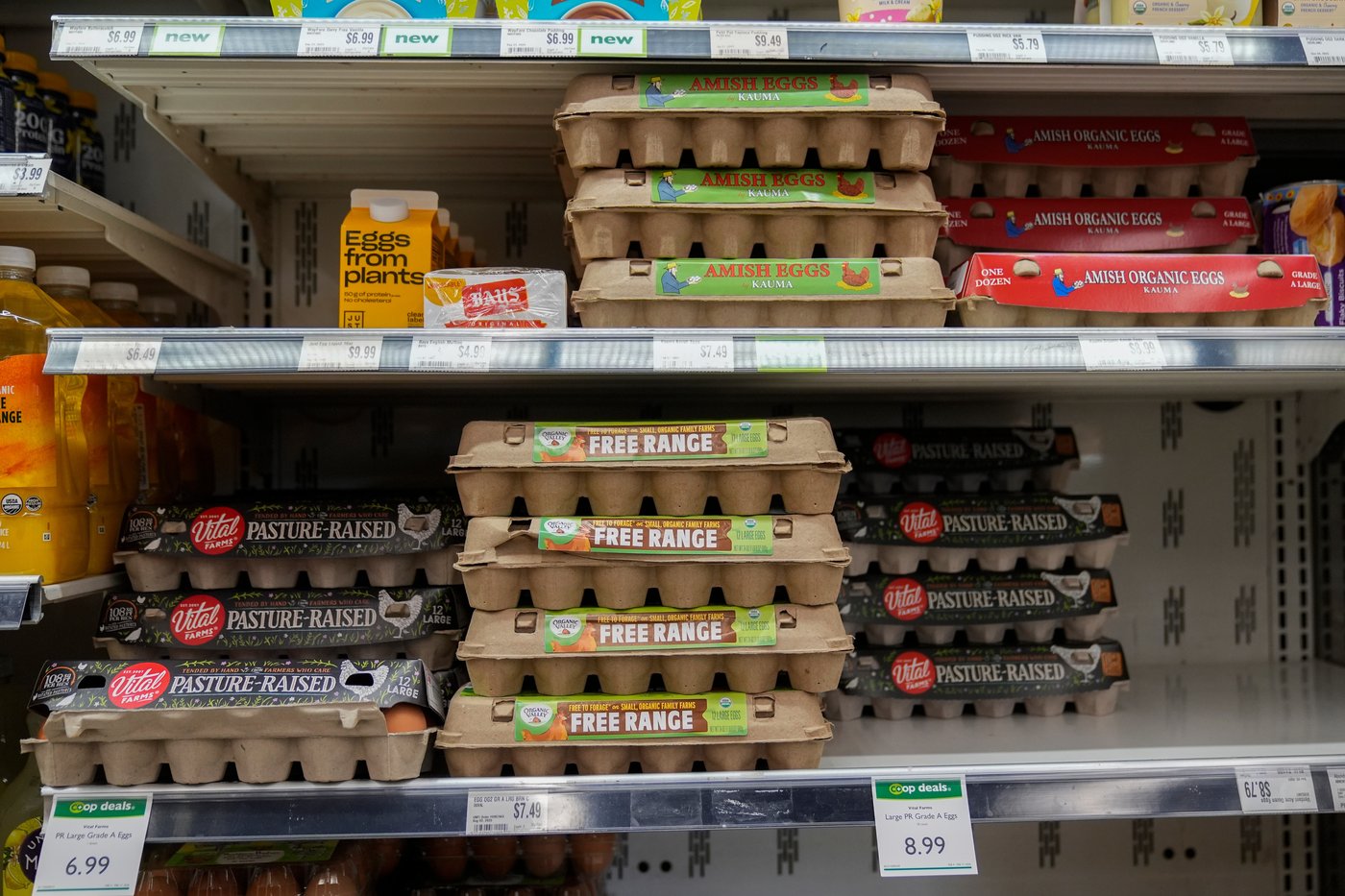 Première étude canadienne consacrée à une rare allergie alimentaire chez les enfants