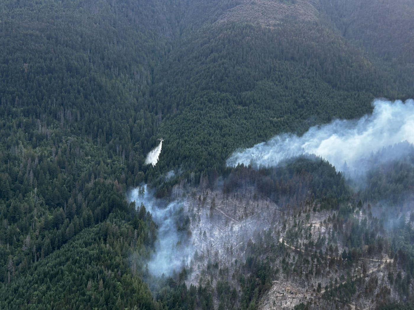 Feux de forêt en Colombie-Britannique: appel au respect des consignes des autorités